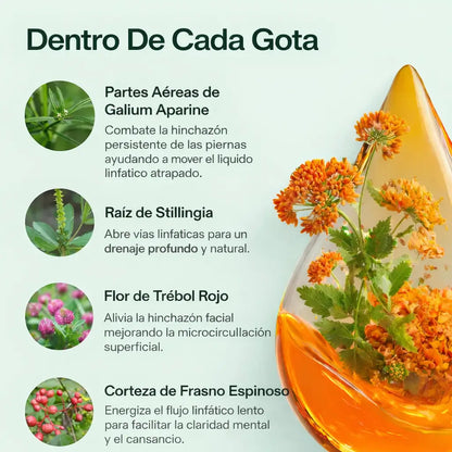 Drenaje Linfatico™ | Adios Liquidos Retenidos , Drena Naturalmente la Hinchazón del Rostro, Abdomen y Piernas + Receta de modo de uso